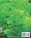 Aquarium Guide: Essential Tips for Novice Fishkeepers: Unlock the Secrets of Successful Fishkeeping with Expert Advice and Key Techniques - Your Ultimate Aquarium Companion!