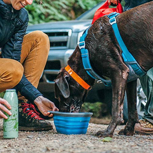 Kurgo Collapsible Travel Dog Bowl, Pet Food & Hiking Water Bowl, Food Grade Silicone Bowl For Dogs, Travel Accessories For Pets, Bpa Free, Collaps A Bowl, Mash N’ Stash, Zippy Bowl #TOP5