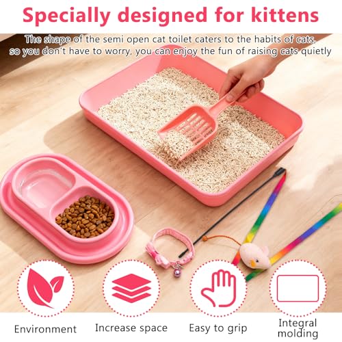 Kitten Starter Kit para gatitos en interior, incluye arenero rosa miniatura 3