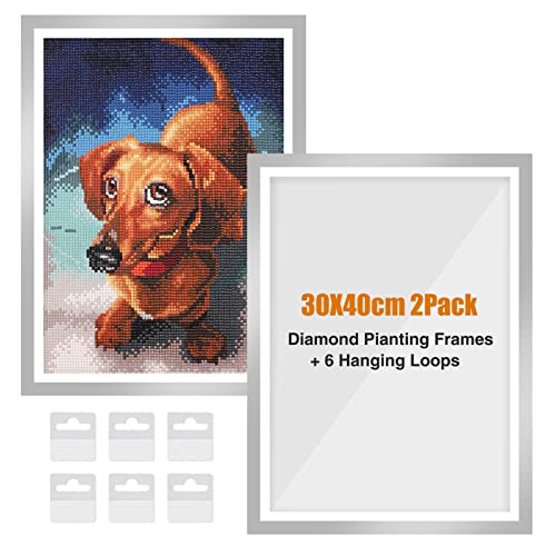 RICUVED 2 Packungen Diamant Painting Rahmen Diamond Painting Bilderrahmen 30x40 cm Silber 5D Diamond Painting Rahmen Picture for Diamant Malerei 30x40 cm Diamond Painting Frame mit Haken(Silber)