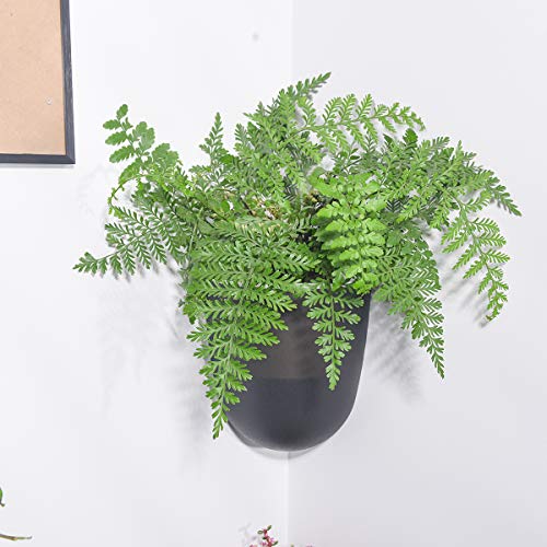 Sungmor Wall Hanging Corner Planters, 4PC Black Wall Mounted Flower Pots, Self Watering Wall Planter for Indoor Plants, Right Angle Corner Hanging Pot, Balcony Home Office Bar Corner Decor - Image 5