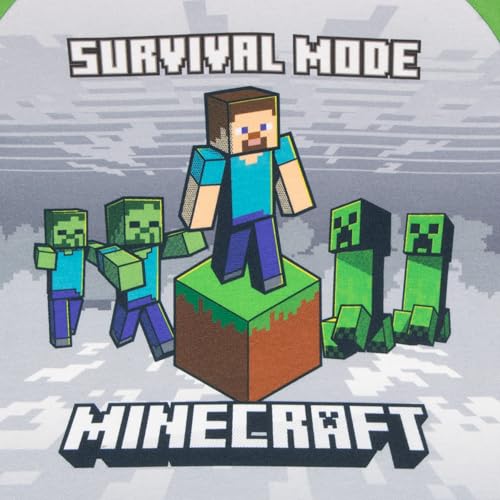 Image of Minecraft Boys Minecraft
