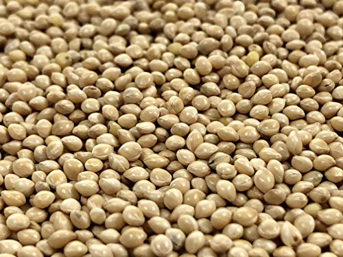 Premium White Proso Millet Bird Seed Feed,10Lbs Bulk Bag #TOP3