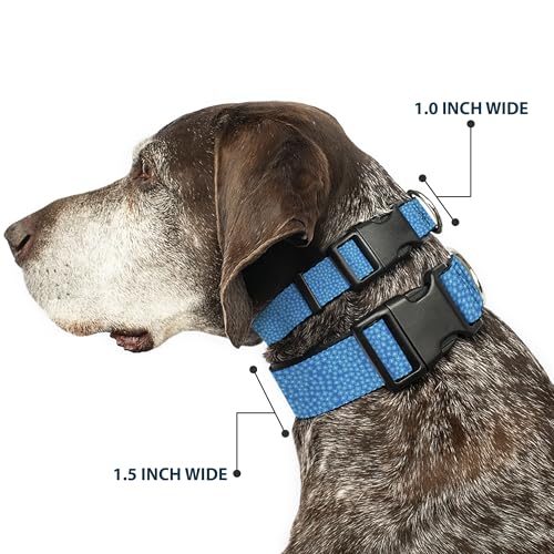 Collier pour chien Petites Fleurs Bleu Blanc réglable 9-38cm - 3