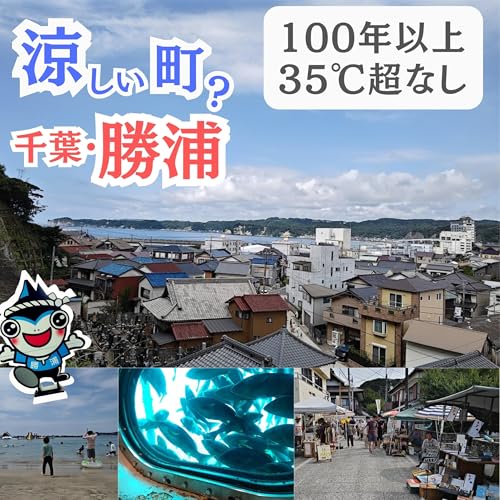 千葉県勝浦は涼しい町、東京から2時間で行ける町【超旅ラジオ #225】 cover art