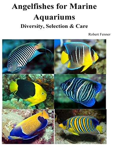 Angelfishes for Marine Aquariums: Diversity, Selection & Care