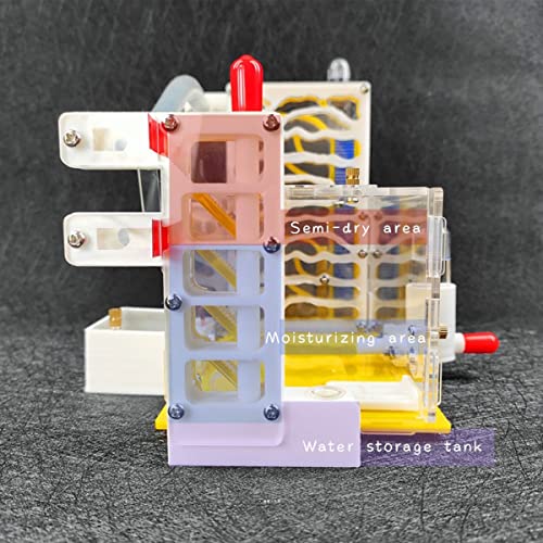 KXCR Ant Farm DIY Ant Nest 3D Acrylic Farm Villa Pet Mania House Feeding Area AntHouse Ants Habitat Box Experiment Gift for Boys & Girls - Image 4