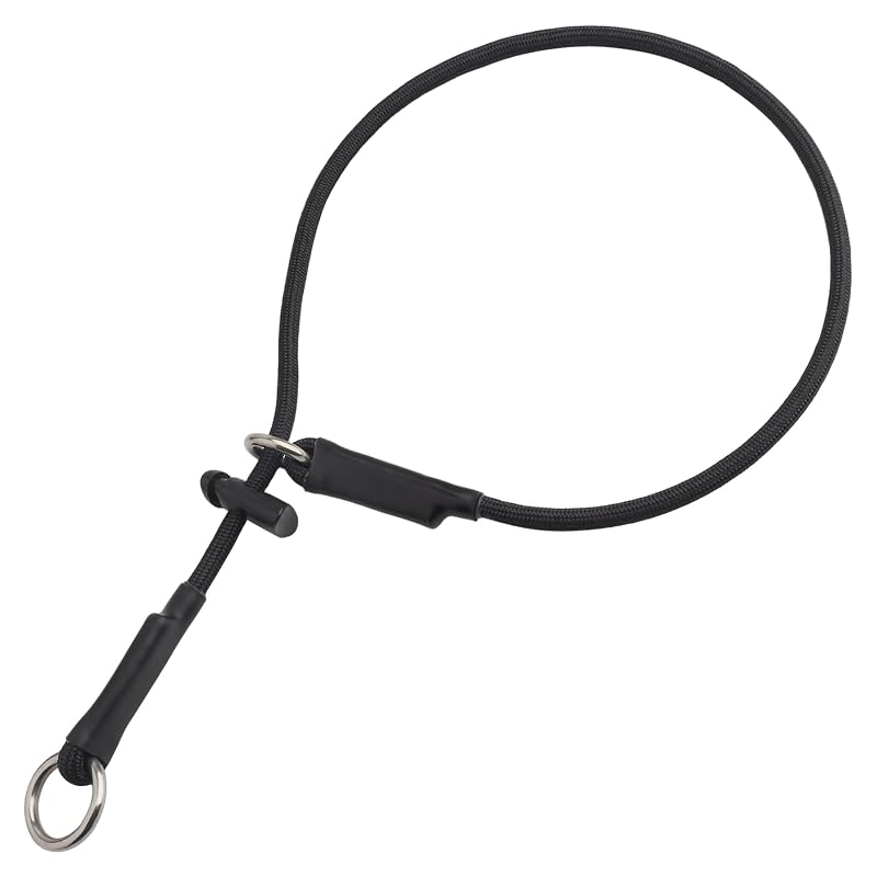 Coleira de Enforcamento Slip para Cães Pequenos e Médios em Corda de Nylon DISCPETSEC Preta 71,12 cm