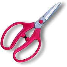 Ars Corporation FL-18-BP Flower Scissors Franvin Long Type 7.1 inches 180 mm Blister Pack
