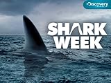 Shark Week Season 2007