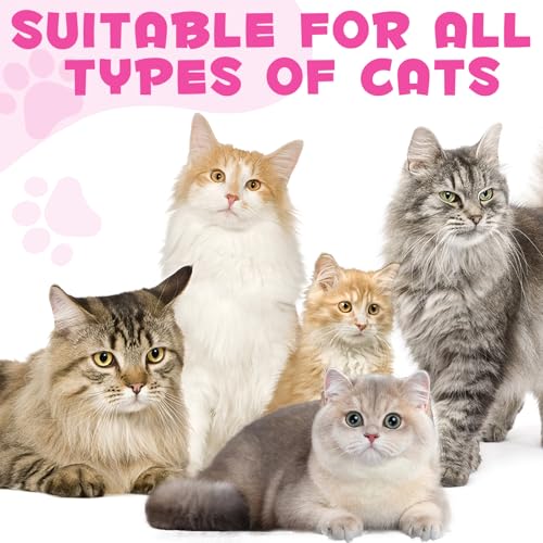 Kollagen für Katzen, Katzen Kollagen Haut und Fell Ergänzung, Juckreiz Linderung für Katzen, Tägliche Kollagen-Tropfen Unterstützt Die Gelenke und Verdauungssystem Gesundheit, 60ml