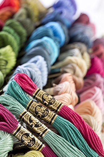 Image of DMC 117-523 Six Stranded Cotton Embroidery Floss, Light Fern Green, 8.7-Yard