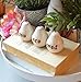 White Handmade Clay You are Loved Pears, Christmas or Birthday Gift for Family and Friends Rustic Shelf Home Decor