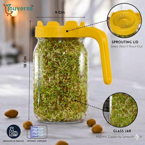Image of Sprouts Maker Glass Jar - 950ml Large Sprouts Maker Jar for Home Use | BPA-Free Sprouting Jar with Drain Lid Handle | Airflow, Odor-Free, Easy Drainage, and Hygienic Glass Design (Yellow)