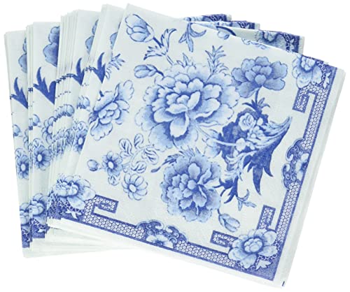 Entertaining With Caspari Cocktail Napkin, Blue And White, 20-Pack #TOP2