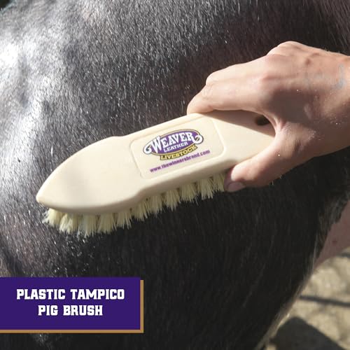 Image of Weaver Livestock Tampico Pig Brush, Plastic Grooming Brush for Dirt Removal, Soft Bristle Tampico Brush for Smooth Hair, Daily Show Pig Grooming Tools