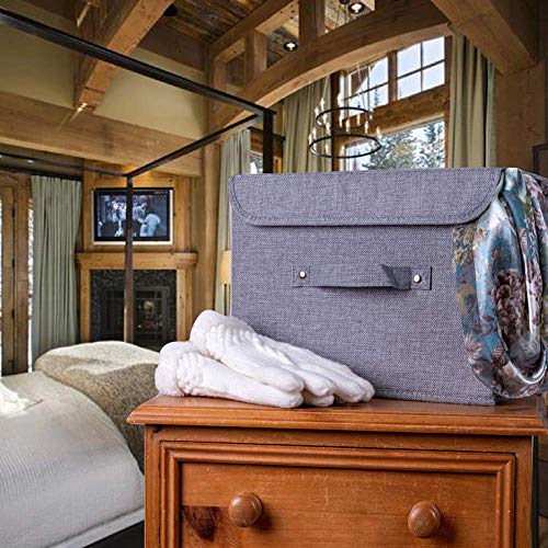 Scatola di immagazzinaggio con Coperchio. Robusta