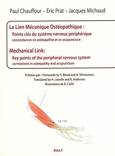 Le Lien Mécanique Ostéopathique : Points clés du système nerveux