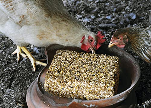 Farmers' Helper Original Forage Cake For Chickens, Turkeys, Peafowl, Guinea Fowl, Geese, Pheasants and Ducks, 13 Ounces
