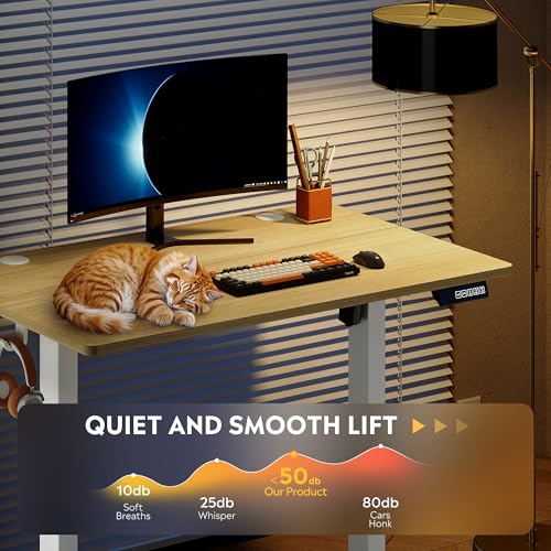 DEVAISE 40 Inch Electric Standing Desk, 3 Adjustable Height Stand up Desk for Home Office, Ergonomic Sit to Stand Desk with LED Touchscreen, 3 Memory Preset Computer Desk (Maple)