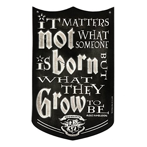 Harry Potter Dumbledore Quote Embossed Metal Sign - Inspirational Harry Potter Wall Decor for Home
