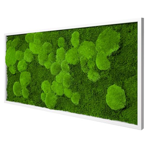 Moos Design | Moosbild in versch. Größen (Fifty Fifty Design Holzrahmen: weiß 110 x 55 cm)