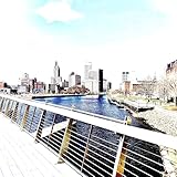 zoomer chien 2018  Bang Zoom