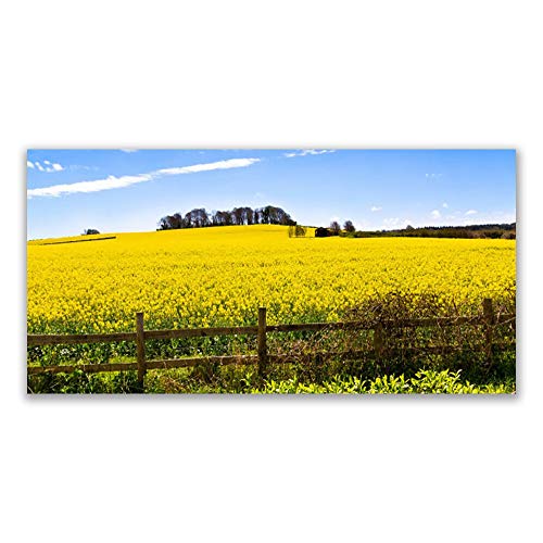 Tableau moderne design pour salon tulup paysage de champ impression sur verre trempé 120x60cm