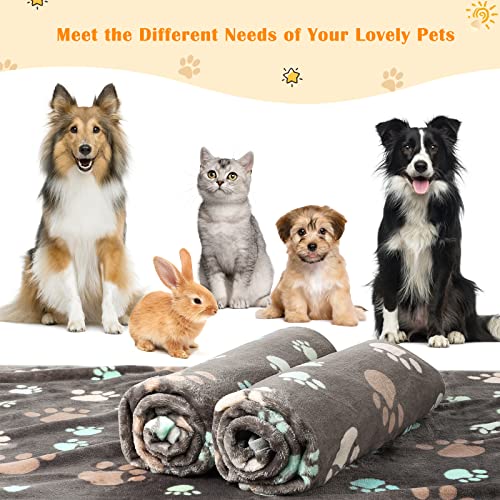 3 Pack Dog Blanket Soft Warm Flannel Cat Blanket, Great Pet Throw For Cats,Puppy,Small Medium Large Dog, 30 X 20 Inches #TOP5
