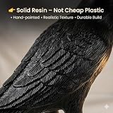 Shandaglo Raven Lamp Gothic Decor, Black Crow Table Lamp with LED Bulb, Unique Dark Aesthetic Night Light for Bedroom Desk, Halloween Home Decoration Gift