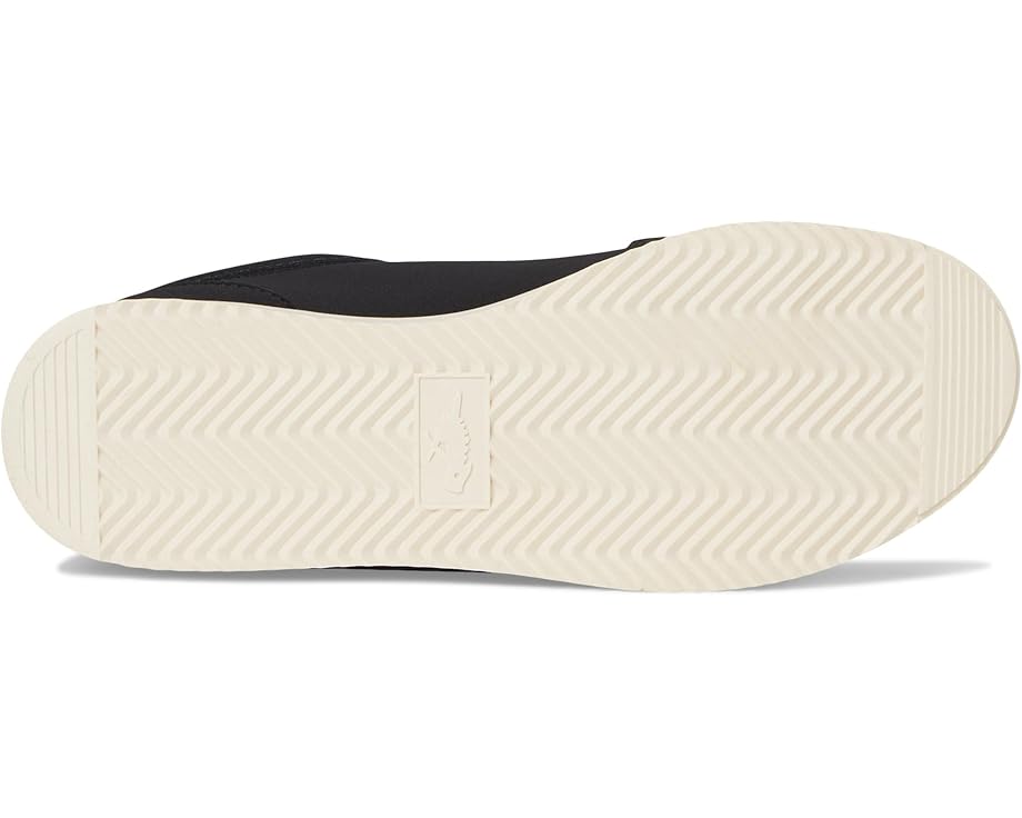 Rocket Dog Bolt - Bottom View