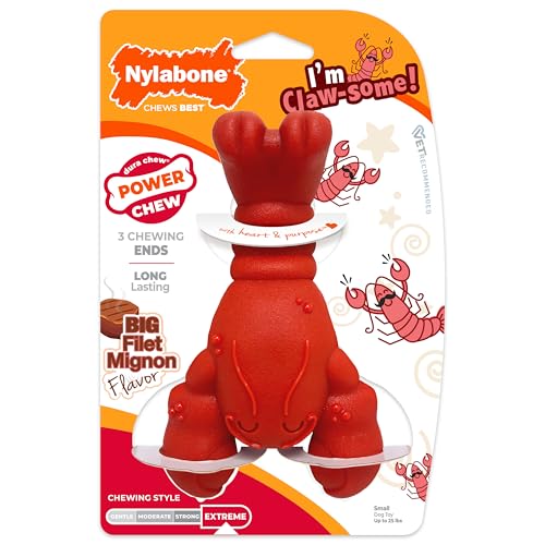 Nylabone-Lobster-Power-Chew-Toy-for-Dogs-Dog-Toys-for-Aggressive-Chewers-Filet-Mignon-Flavor-Small-Dogs-Up-to-25-Ibs-1-Count Nylabone Lobster Power Chew Toy for Dogs, Dog Toys for Aggressive Chewers, Filet Mignon Flavor, Small Dogs - Up to 25 Ibs, 1 Count - Image 1