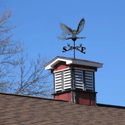 YUZDNM Wetterhahn Fürs Dach - Wetterhahn - Wetterfahne, Eisen Wetterhahn Metall Eisen Retro Windrichtungsanzeiger Garten Terrasse Hof Ornament Dekoration Wetterfahne Professionelle Messwerkzeuge YUZDNM Wetterhahn Fürs Dach - Wetterhahn - Wetterfahne, Eisen Wetterhahn Metall Eisen Retro Windrichtungsanzeiger Garten Terrasse Hof Ornament Dekoration Wetterfahne Professionelle Messwerkzeuge