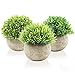Produktbild Aibesser Künstliche Topfpflanze, Künstliche Grün Gras Pflanzen mit Topf, 3er-Set Plastik Klein Dekorative Pflanzen Bonsai, Ideal für Büro Bad Garten Balkon Deko und Outdoor Dekoration, Geschenk