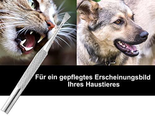 Mini Hunde Zahnsteinkratzer Einseitig Zahnpflege Zahnreiniger für Haustiere Tiere Zahnbürsten-Alternative aus Edelstahl Auch für Katzen oder Nager Zahnreinigung Zahnsteinentferner