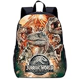 El mejor regalo para los niños: las mochilas escolares para niños se pueden utilizar como loncheras, mochilas de viaje, bolsas de juguetes y mochilas escolares para niños. El diseño de dibujos animados en 3D entre nosotros lo hace más realista, adecuado para la escuela, viajes, trabajo, deportes, etc. A tus pequeños les encantará la mochila que llevas contigo.
