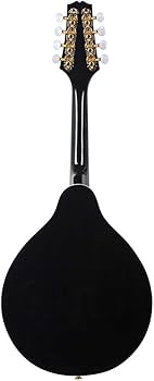 美品 フラットマンドリン IRIN セット マンドリン | マンドリンと