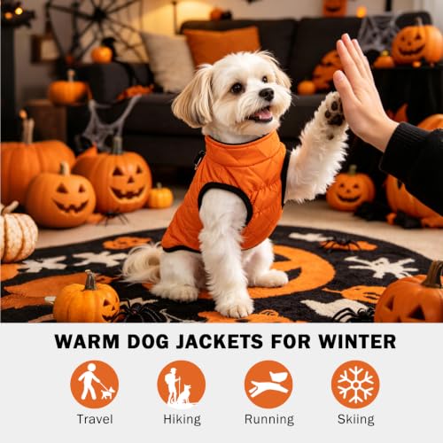 Image of SCENEREAL Halloween Thanksgiving Dog Coat with Built-in Harness