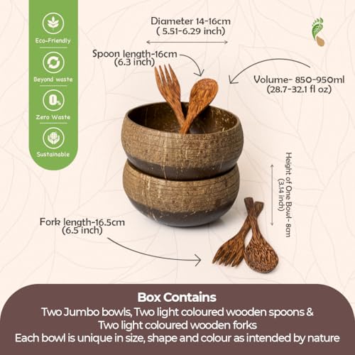 Bols en coco Bella Tree® pour sublimer vos smoothie bowls et petits-déjeuners