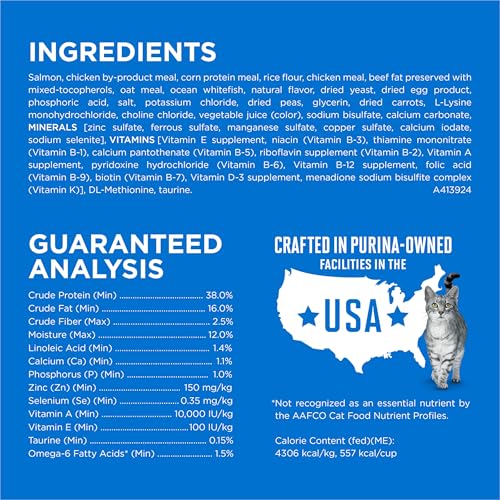 Image of Purina ONE Plus High Protein Cat Food Dry Salmon and Ocean Whitefish Cat Skin and Coat Health Formula - 7 lb. Bag