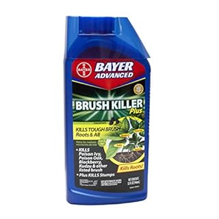 BioAdvanced Brush Killer Plus, Weed Killer Concentrate, 32 oz, Kills Tough Brush Roots & Poison Ivy