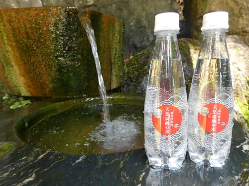 奥会津金山天然炭酸の水(350mlペットボトル)12本