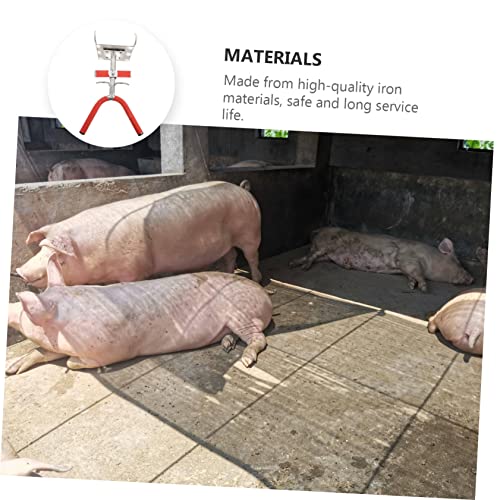 Mipcase 1Pc Cordeiros Recheio Veterinário Simples Balão De Porco Testículos Bezerros Leitões Instrum