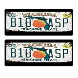 REhobby 1/10 RC Car Accessories License Plate Metal Frame 46x18mm for 1:10 Tamiya CC01 Scx10 90046...