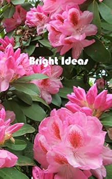 Bright Ideas : Journal Diary Notebook Paperback Flowers Series