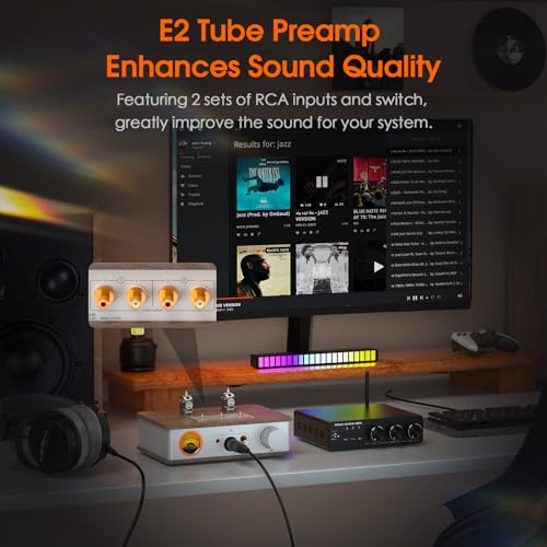 ​Douk Audio Tube Headphone Amp: for XLR, 4.4mm, 6.35mm HiFi Headphones, Stereo Preamplifier for Amplifiers, Speakers, Home Desktop Audio System, with VU Meter & German Valvo Vacuum Tubes​ (E2)