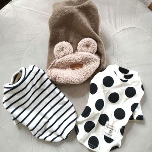 qhbO 3  N}tEXgCvEhbg