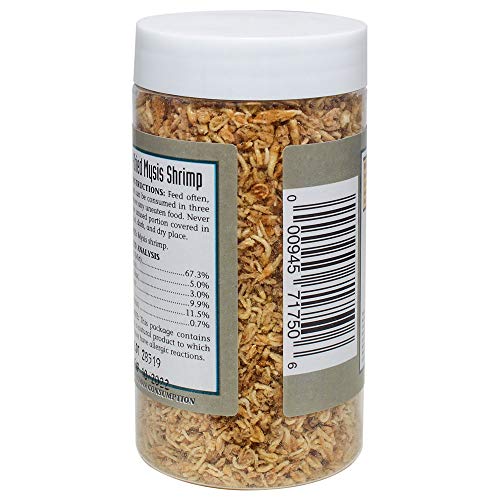 San Francisco Bay Brand Freeze-Dried Mysis Shrimp 0.49-Ounces (14 Grams) Jar #TOP2