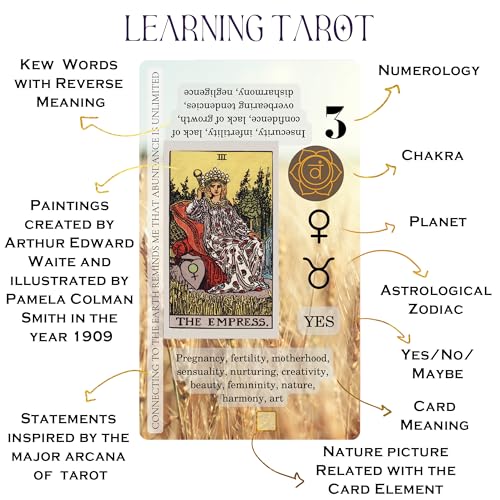 Image of Witchy Cauldron Tarot Cards for Beginners with Meanings on Them - 78 Card Learning Tarot Deck, No Book Needed Mid-Reading, Guidebook Included, Upright & Reversed, Chakra & Zodiac | Last Edition