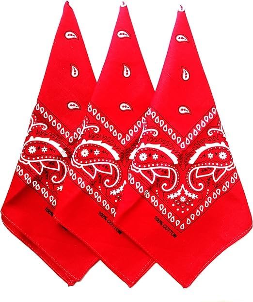 22"X22" 100% Cotton Paisley Printed Bandanas Large Thick Scarfs Fashion Headwear for Men and Women